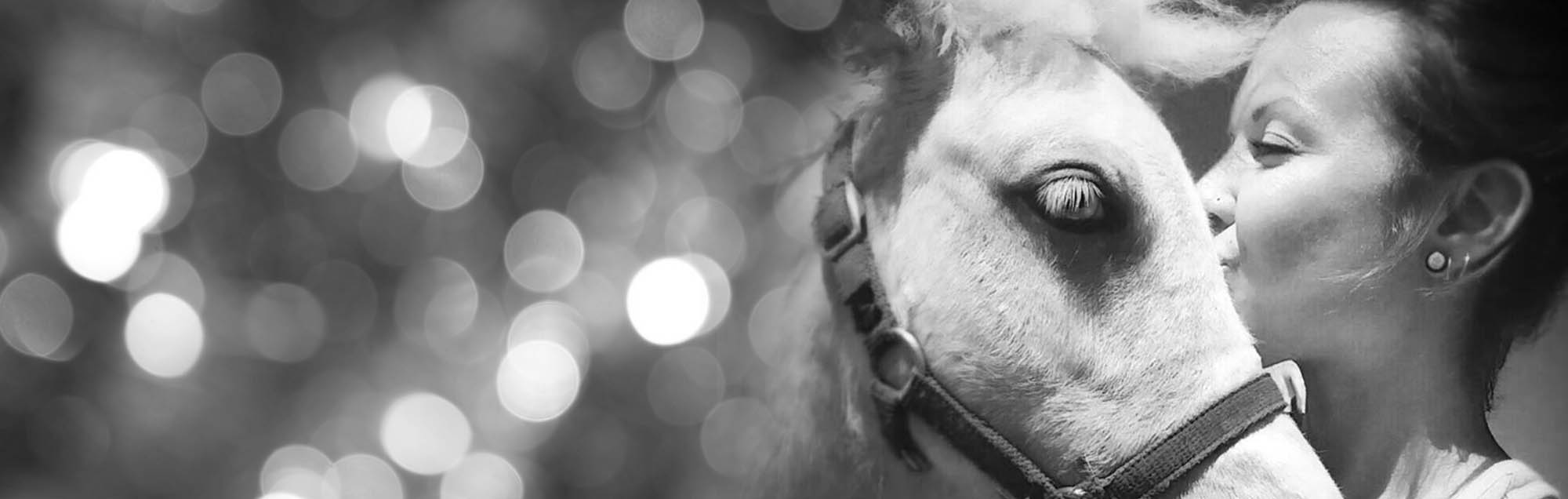 équitation